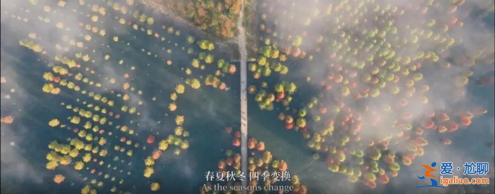 “春城之約”重逢蒙特利爾 《同一個(gè)家園》MV正式上線？