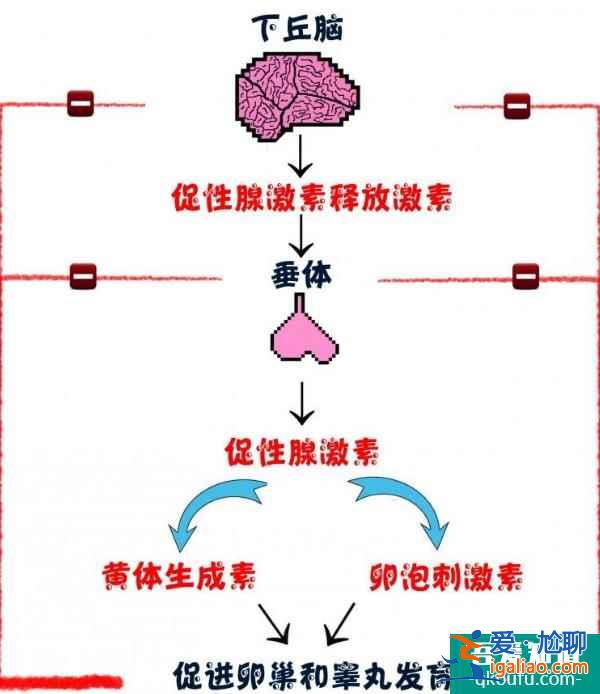 月經(jīng)不調去做試管嬰兒成功率高嗎？？