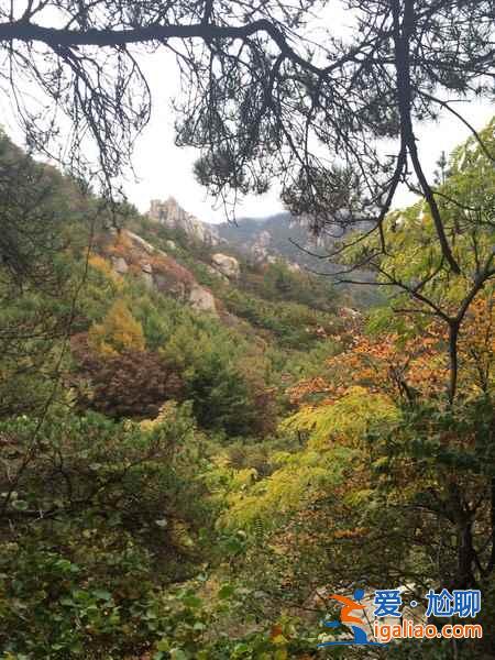 青島怎么去嶗山，從青島市區(qū)怎么去嶗山？