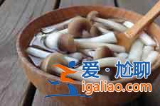 菌菇湯的做法？