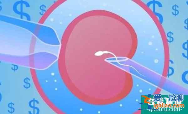 赴美試管幫助解決精子畸形生育難題的步驟詳解？