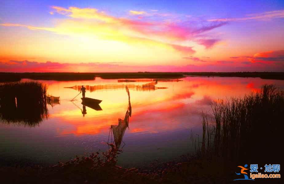 【視覺美景】走進(jìn)丹頂鶴故鄉(xiāng)向海保護(hù)區(qū)，與鶴共舞？