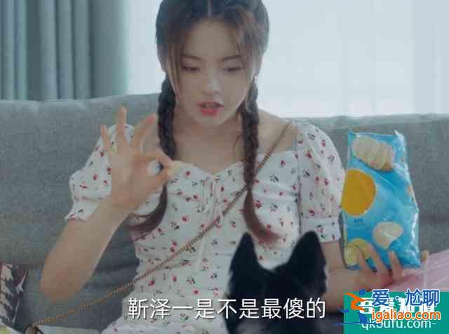 仲夏滿天心：洛天然牽哈士奇，誰注意狗狗蹲的位置，忘了有鏡頭？