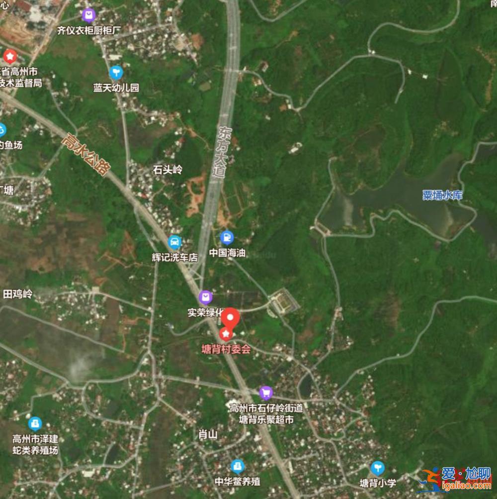 頭部有多處致命傷 車離兇手家三四公里？