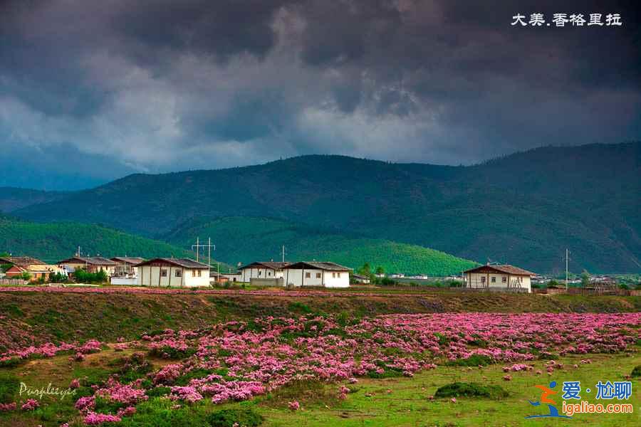 香格里拉好玩嗎，云南香格里拉最佳旅游時間？