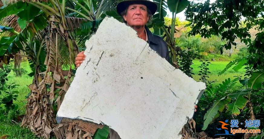 馬航MH370起落架艙門殘骸被發(fā)現(xiàn) 或證明飛行員有犯罪意圖？