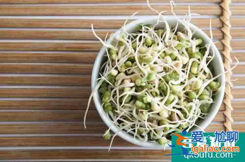 綠豆芽的特色菜譜 教你烹出精彩菜品？