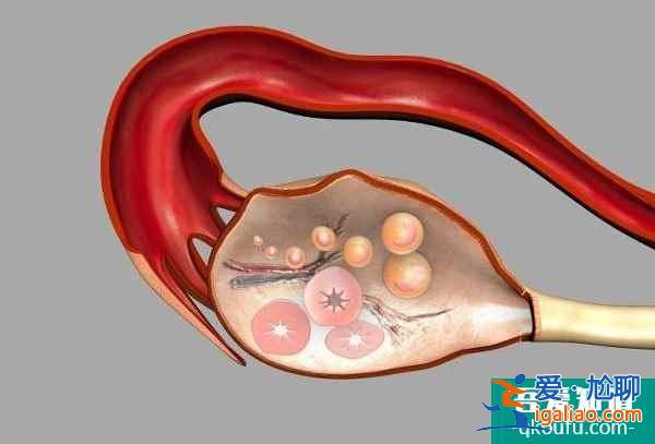 試管嬰兒促排與乳腺癌之間是否有關(guān)系?？