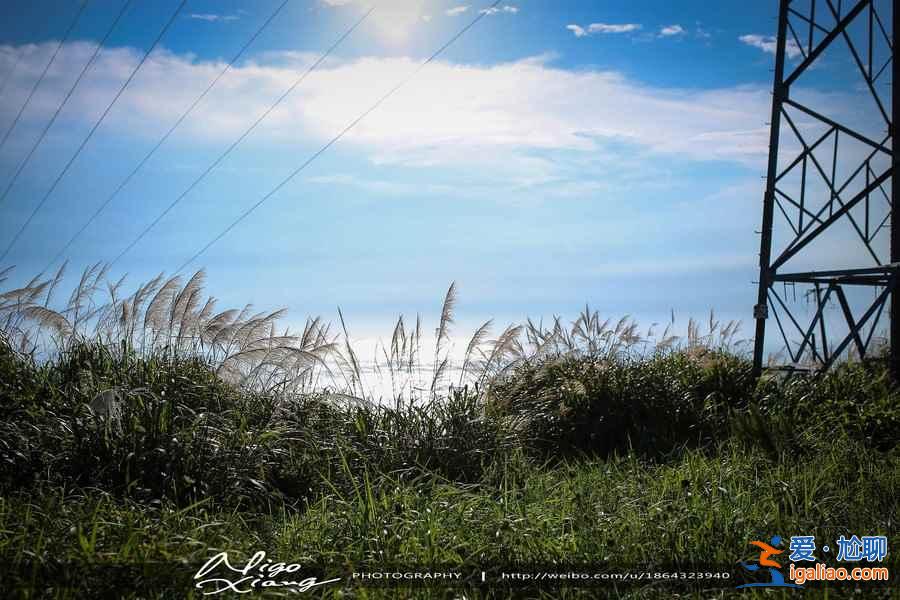 上海到枸杞島船票多少錢，上海到枸杞島怎么去？