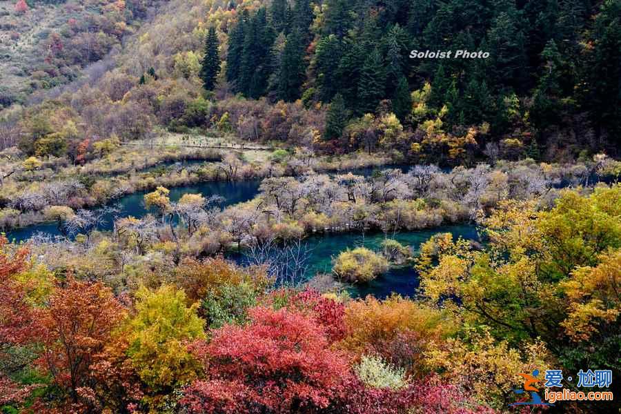 去九寨溝玩需要幾天，去九寨溝玩幾天合適？