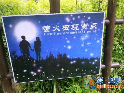 【中國哪里有螢火蟲】國內(nèi)觀賞螢火蟲的那些地兒？
