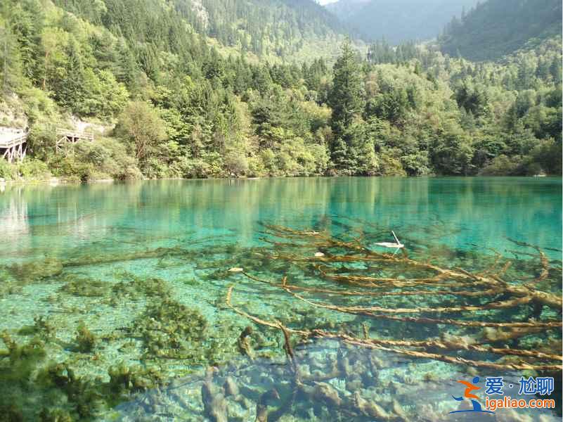 失戀去哪旅游，失戀去哪里旅游？