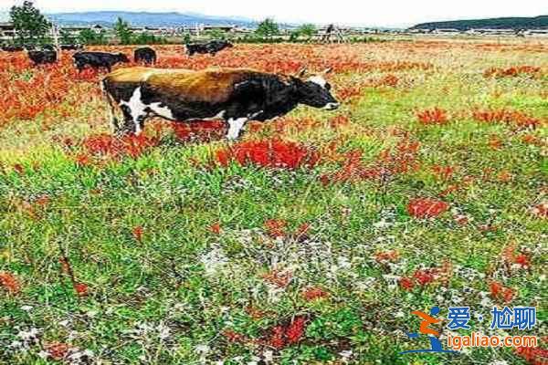 夏日清涼好去處 十大避暑勝地？