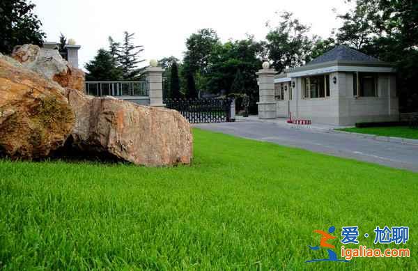 大連旅游必去景點(diǎn)，大連旅游必去地方？