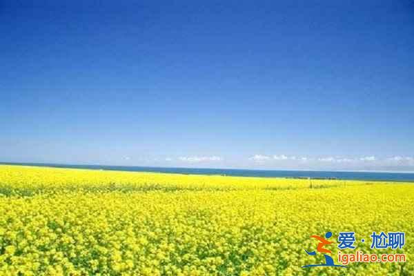 夏日清涼好去處 十大避暑勝地？