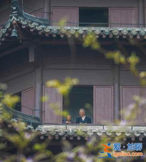【六和塔重新開放】牡丹盛開喜迎客？