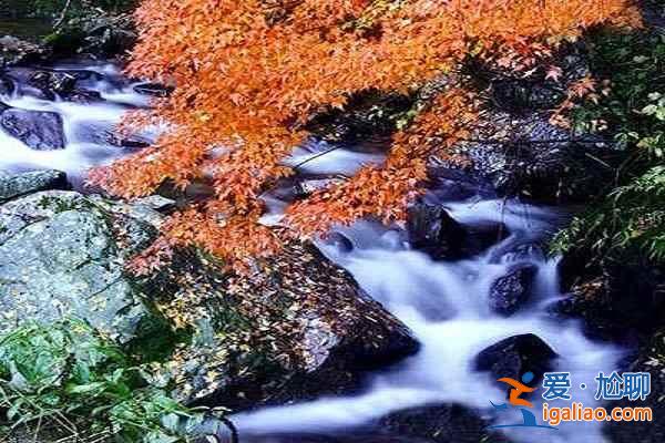 夏日清涼好去處 十大避暑勝地？