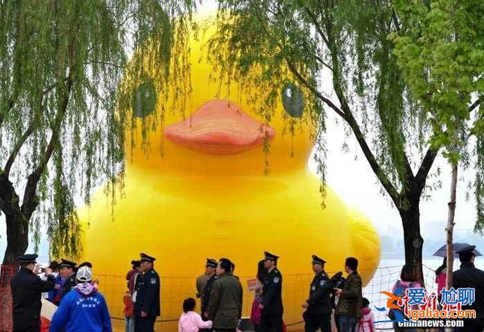 【濟(jì)南大黃鴨】大黃鴨光臨濟(jì)南長(zhǎng)清湖？