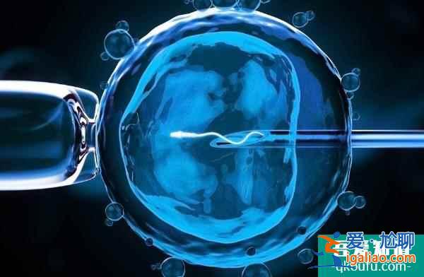 試管嬰兒：巧克力囊腫可以吃輔酶Q10嗎？？