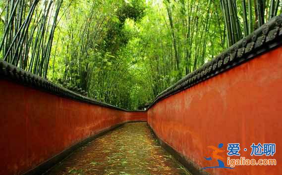 成都必去的旅游景點(diǎn)，成都旅游必去景點(diǎn)推薦？