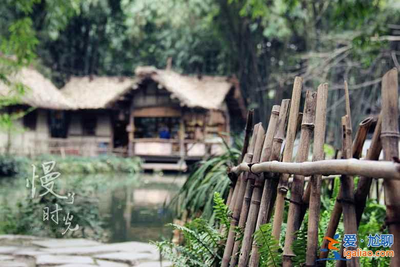 成都必去的旅游景點(diǎn)，成都旅游必去景點(diǎn)推薦？
