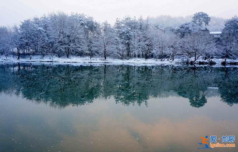 雪后的南方,這是我見過最美的冬景!? 雪后的南方,這是我見過最美的冬景???