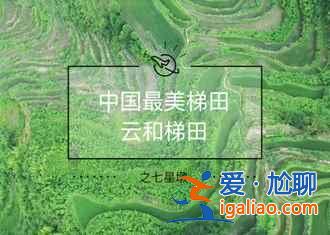 雪后的南方,這是我見過最美的冬景?。? alt=