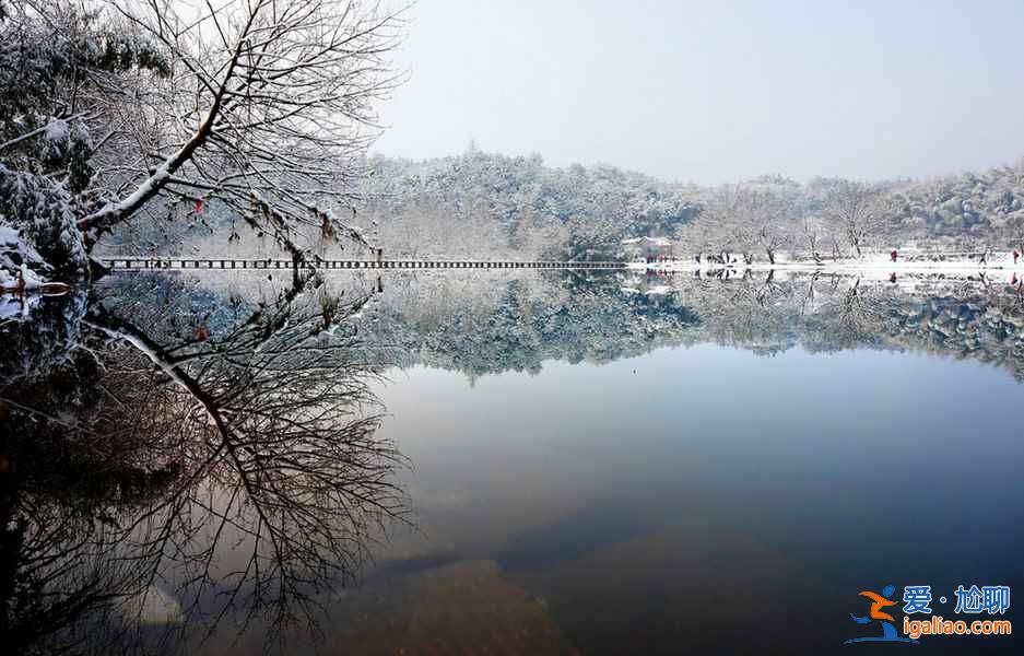 雪后的南方,這是我見過最美的冬景??? 雪后的南方,這是我見過最美的冬景!?