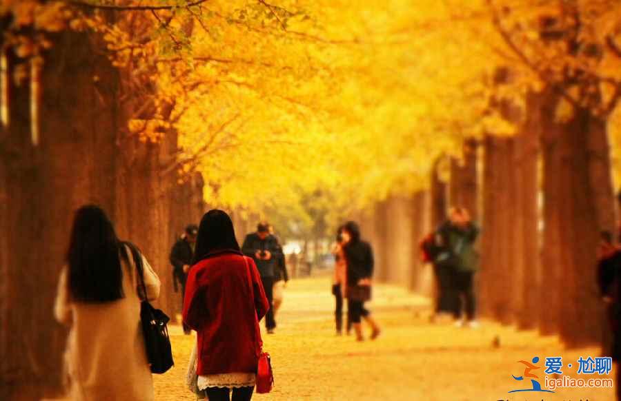 不想去故宮、長(zhǎng)城、頤和園...北京的這些地方你一定想去！？