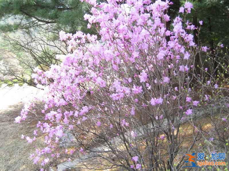 朝鮮——穿越時(shí)空來看你? 朝鮮——穿越時(shí)空來看你?
