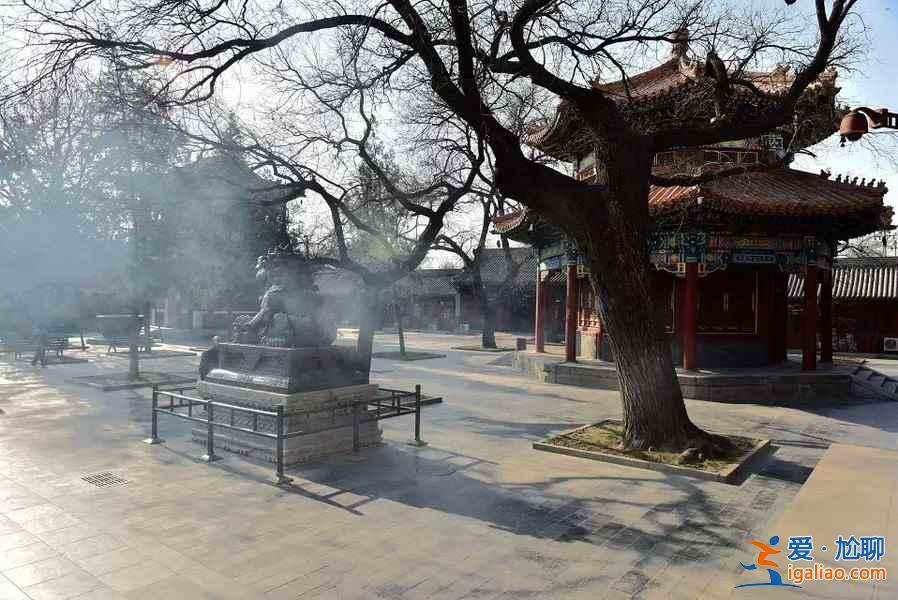 春節(jié)來北京，這5件事兒你必須做！？