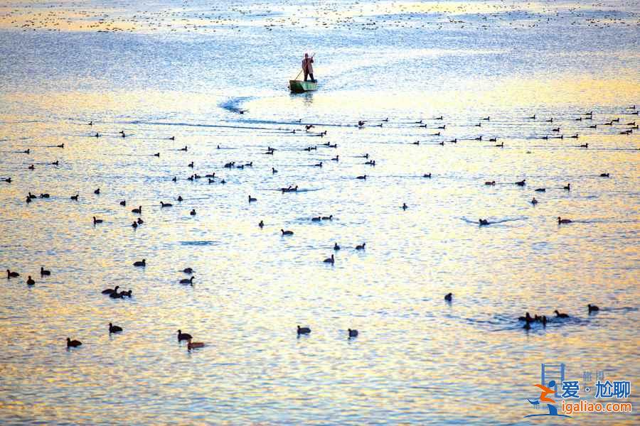麗江拉市海春日風(fēng)光，勝過瀘沽湖，美過潿洲島?。?？