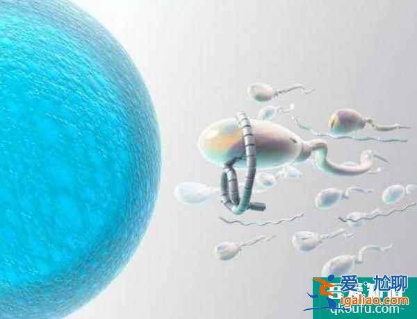 試管嬰兒：備孕多年等來免疫性不孕，該怎么辦？？