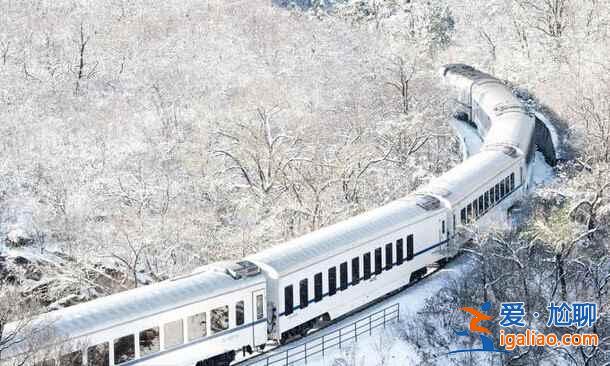 春日列車變雪國列車，你覺得哪個(gè)季節(jié)更美？？