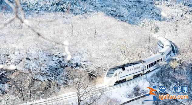 春日列車變雪國列車，你覺得哪個(gè)季節(jié)更美？？