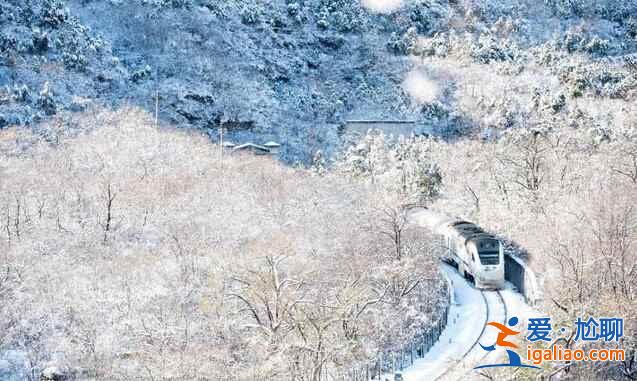 春日列車變雪國列車，你覺得哪個(gè)季節(jié)更美？？