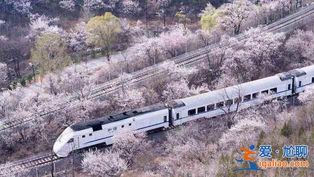 春日列車變雪國列車，你覺得哪個(gè)季節(jié)更美？？