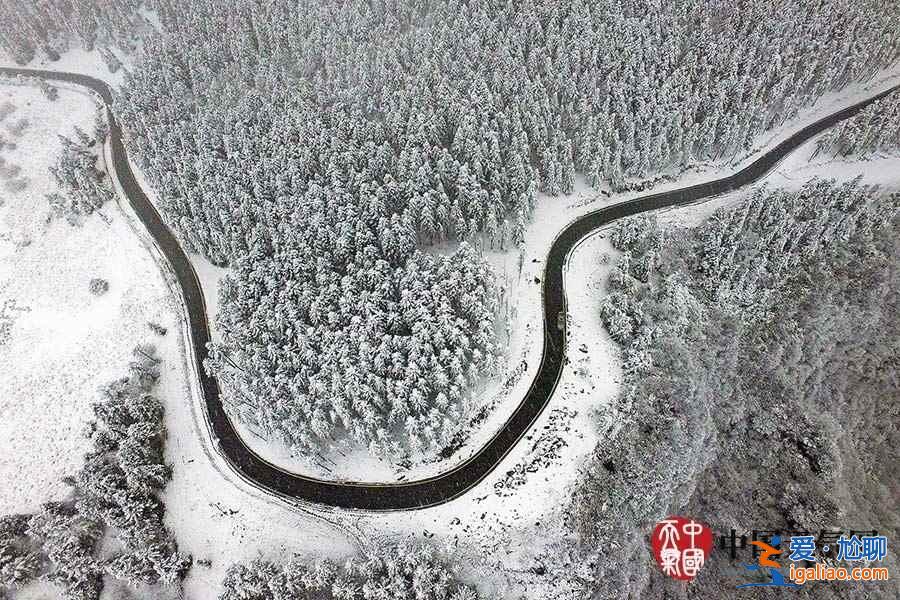 獨(dú)家航拍重慶仙女山雪后美景? 獨(dú)家航拍重慶仙女山雪后美景?