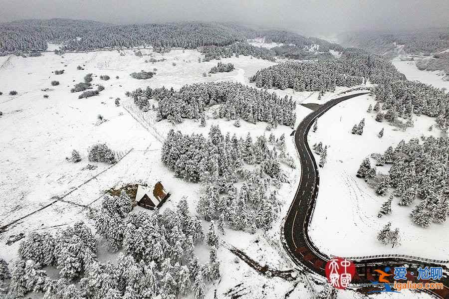 獨(dú)家航拍重慶仙女山雪后美景? 獨(dú)家航拍重慶仙女山雪后美景?