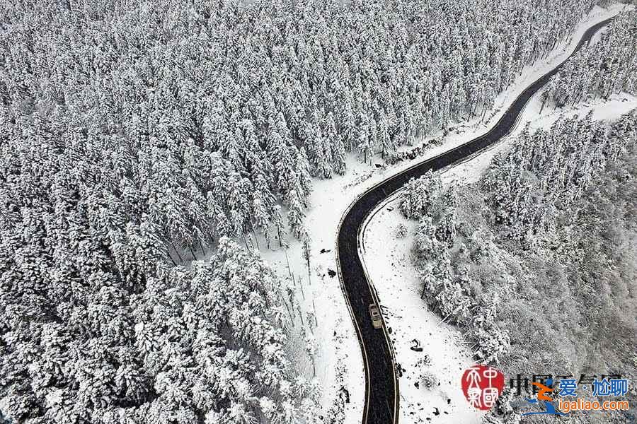 獨(dú)家航拍重慶仙女山雪后美景? 獨(dú)家航拍重慶仙女山雪后美景?