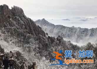 張家界大峽谷玻璃橋什么時(shí)候開(kāi)放，張家界大峽谷玻璃橋在哪兒？