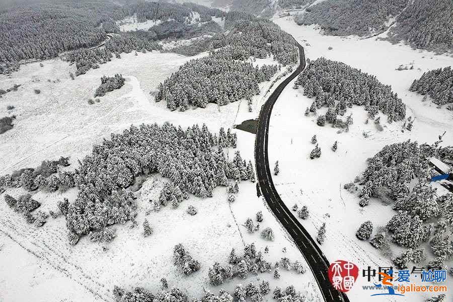 獨(dú)家航拍重慶仙女山雪后美景? 獨(dú)家航拍重慶仙女山雪后美景?