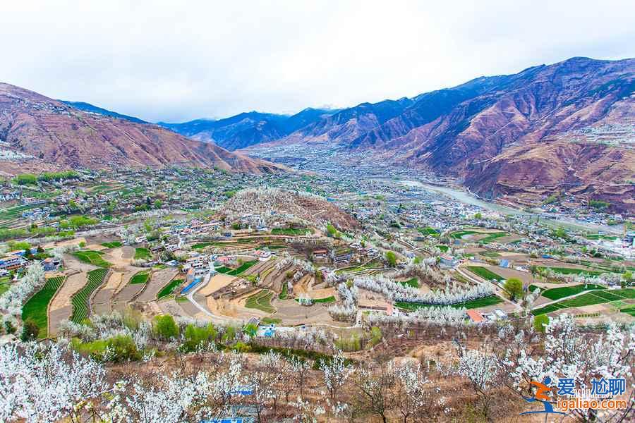 四川最美旅行表，一年四季都有美景??？