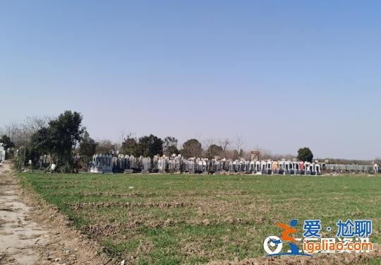 陜西興平一村莊違法占用耕地建墓園 6000元就能買塊墓地？