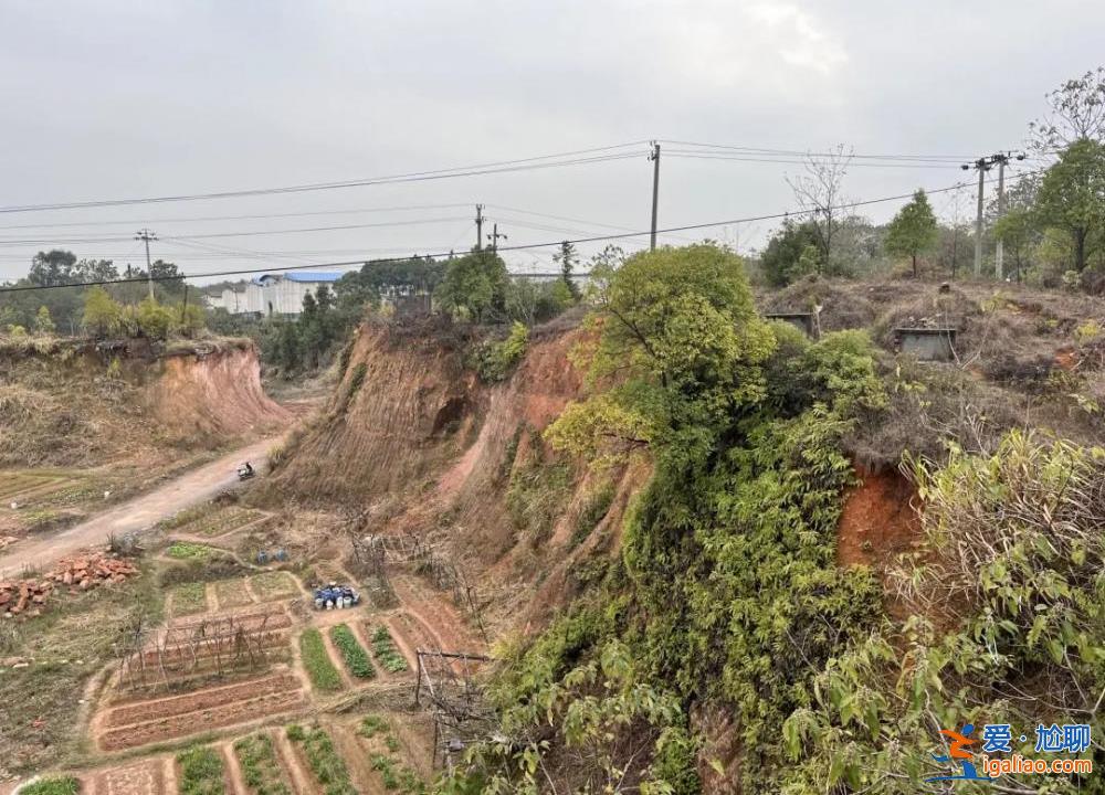 被焦灼、無解、謠言裹挾的雙親？
