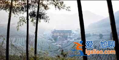 南國雪景，美爆了！總有一張你會(huì)另存為！？