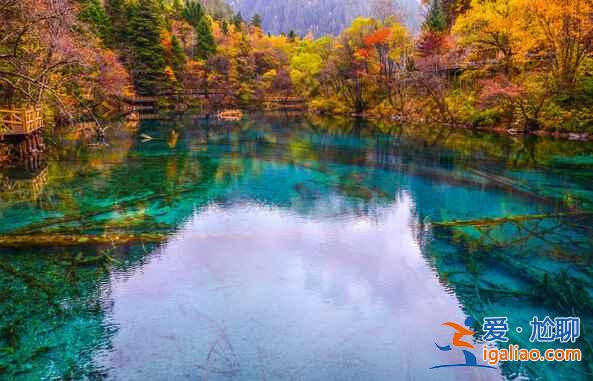 秋天來(lái)了，又到了九寨溝最美的季節(jié)??？