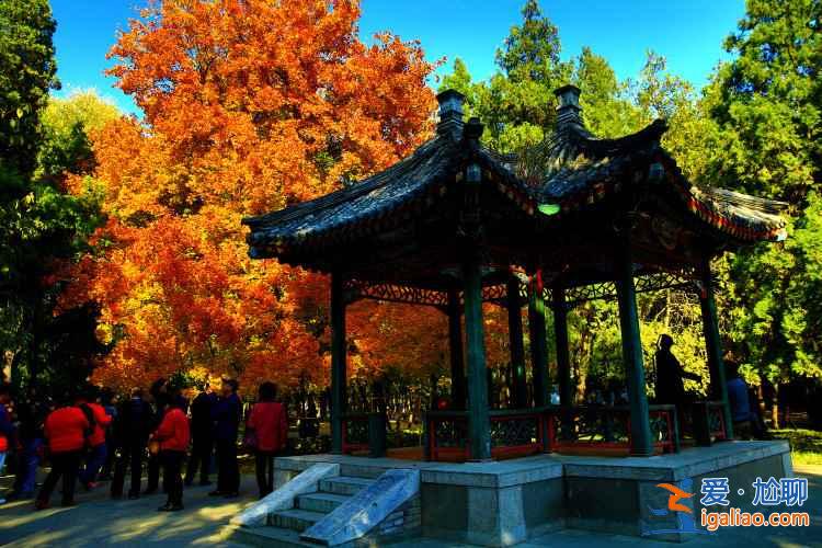 【2017年北京地鐵線路圖】2017年北京地鐵開通線路及規(guī)劃圖? 【2017年北京地鐵線路圖】2017年北京地鐵開通線路及規(guī)劃圖?