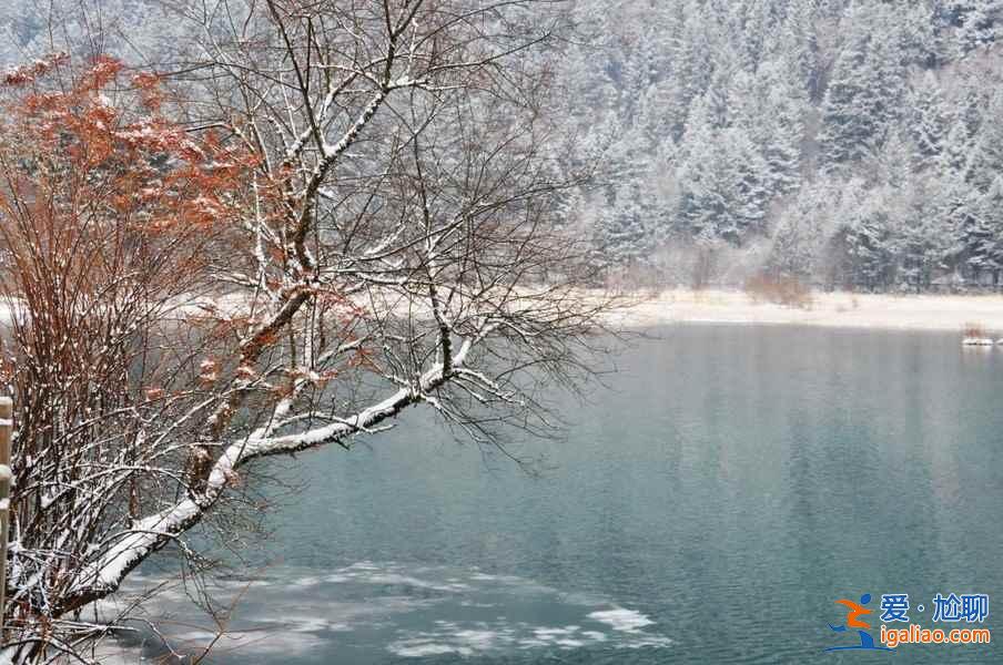 九寨溝雪景什么時間去,九寨溝什么時候下雪？
