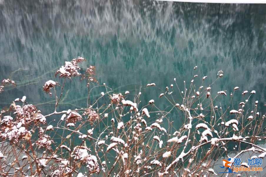 九寨溝雪景什么時間去,九寨溝什么時候下雪？